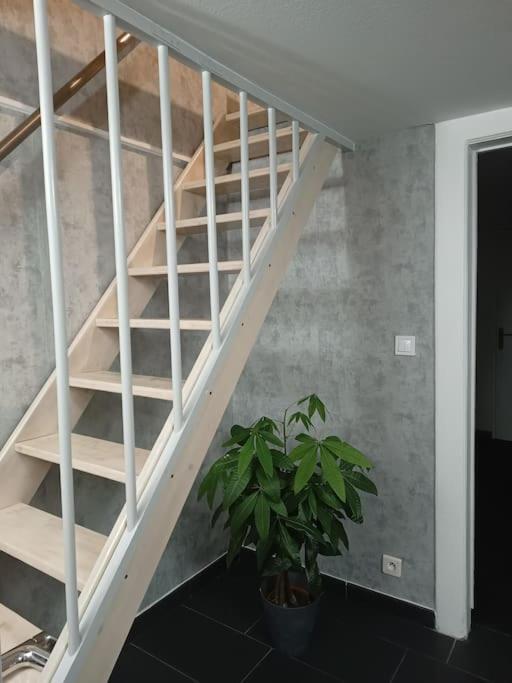 Gite Chez L'Oncle Paul Urschenheim 외부 사진